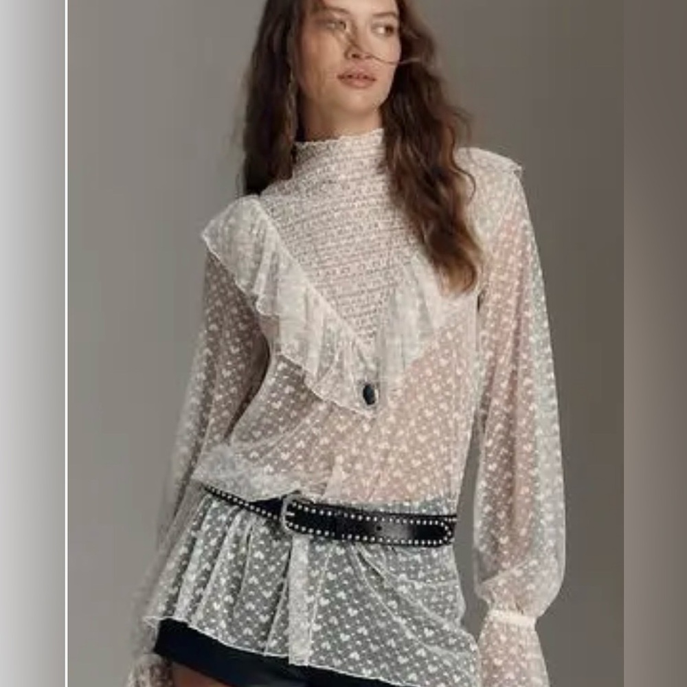 Anthropologie Long-Sleeve Sheer Mesh Tunic Top